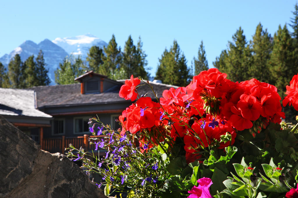 Mountaineer Lodge Lake Louise Exteriör bild